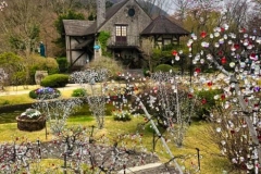 hakone-working-holiday-japan-trip6