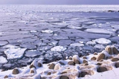 working-holiday-japan-2023-hokkaido-winter-mountains03