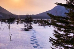 working-holiday-japan-2023-hokkaido-winter-mountains08