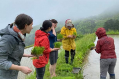 sado-island-niigata-17