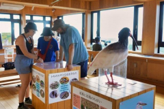 sado-island-niigata-18